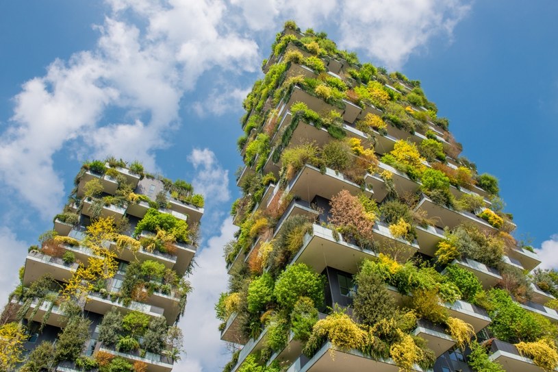 Bosco Verticale to jedne z najbardziej zjawiskowych apartamentowców na całym świecie. Stoją w Mediolanie i wyróżniają się z tłumu nudnych betonowców piękną zielenią. Można śmiało rzec, że są skąpane w różniej maści roślinach. To taki pionowy las, który sprzyja środowisku naturalnemu i ogranicza emisję CO2 do atmosfery.