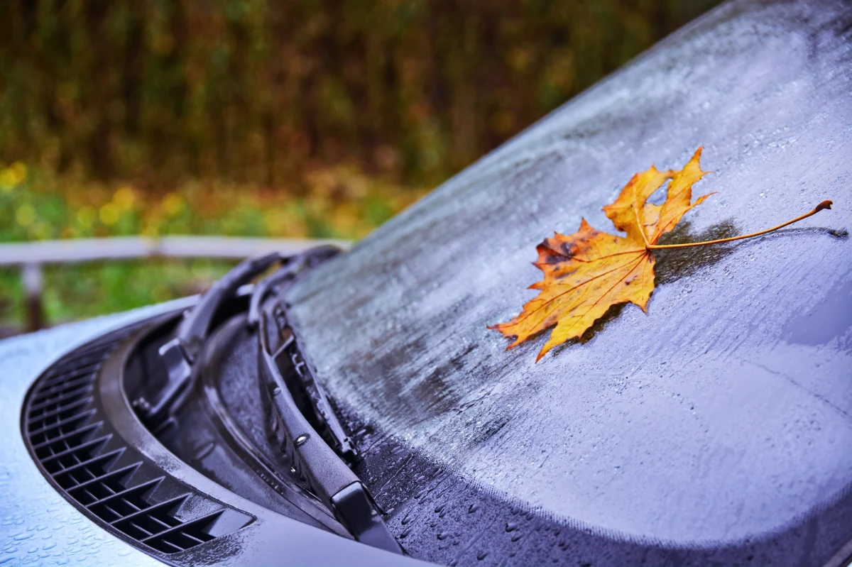 Dziś od północnego-zachodu do Polski wejdzie front atmosferyczny z przelotnymi opadami deszczu - powiedział Szymon Ogórek, synoptyk Instytutu Meteorologii i Gospodarki Wodnej. Na przeważającym obszarze kraju będzie jednak pogodnie. W ciągu dnia termometry maksymalnie wskażą 14 stopni Celsjusza.
