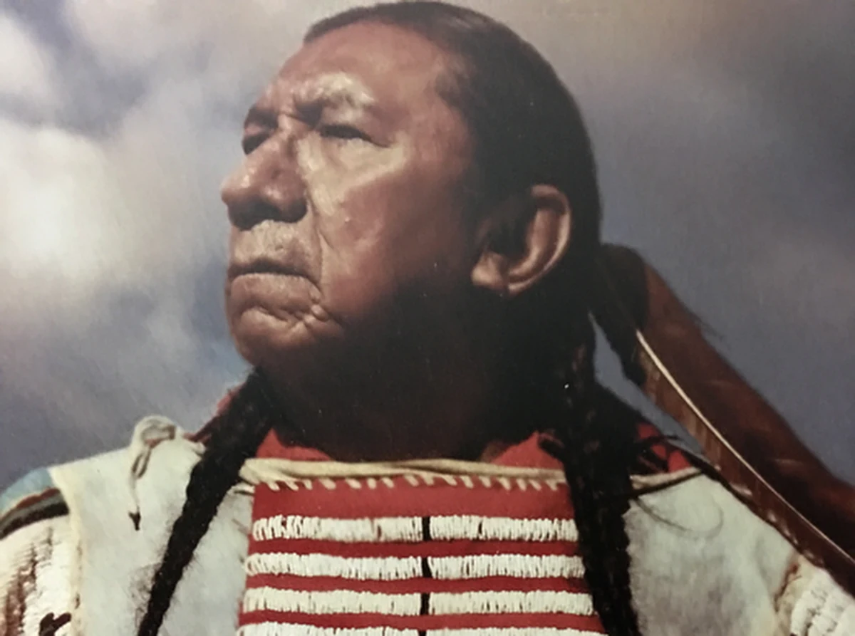 Analiza DNA wyizolowanego z pukla włosów Siedzącego Byka pozwoliło genetycznie zweryfikować pokrewieństwo słynnego wodza Indian z plemienia Siouksów z prawnukiem i jego trzema siostrami. To pierwszy przypadek, kiedy analiza tą nową metodą pozwoliła ustalić pokrewieństwo osób żyjących z postacią historyczną. Piszą o tym na łamach czasopisma "Science Advances" naukowcy z University of Cambridge i Lundbeck Foundation GeoGenetics Centre. Prace nad pozyskaniem i analizą materiału genetycznego trwały 14 lat po tym, jak Ernie Lapointe i jego trzy siostry z plemienia Lakota Sioux odzyskały pukiel włosów pradziadka na mocy nowego amerykańskiego prawa.