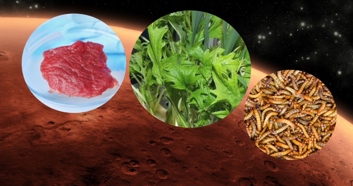 Amerykańska Agencja Kosmiczna wybrała 18 firm, które przygotują żywność dla kolonizatorów Marsa. Menu wielu może obrzydzić, ale podróż będzie karkołomnym wyczynem, a przeżycie na Czerwonej Planecie będzie wymagało ogromnych poświęceń.