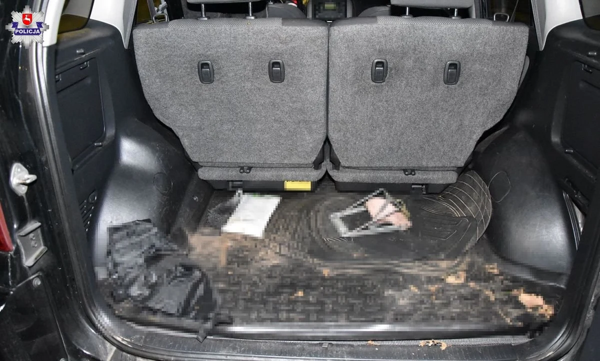 Sceny jak z filmu rozegrały się przed jedną z posesji w powiecie biłgorajskim na Lubelszczyźnie. Dwaj mężczyźni podjechali samochodem, wyciągnęli siłą z domu kobietę i odjechali. Kiedy próbowała uciec, wsadzili ją do bagażnika. Kobieta została uwolniona, a porywaczami okazali się być jej mąż i szwagier.