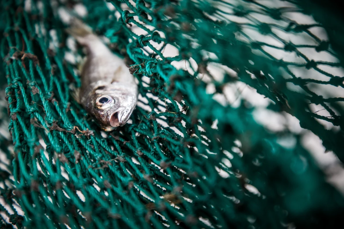 Ambasador Francji na dywaniku w ministerstwie spraw zagranicznych w Londynie. To odpowiedź brytyjskiego rządu na wczorajsze internowanie brytyjskiego kutra rybackiego przez francuską straż przybrzeżną. 