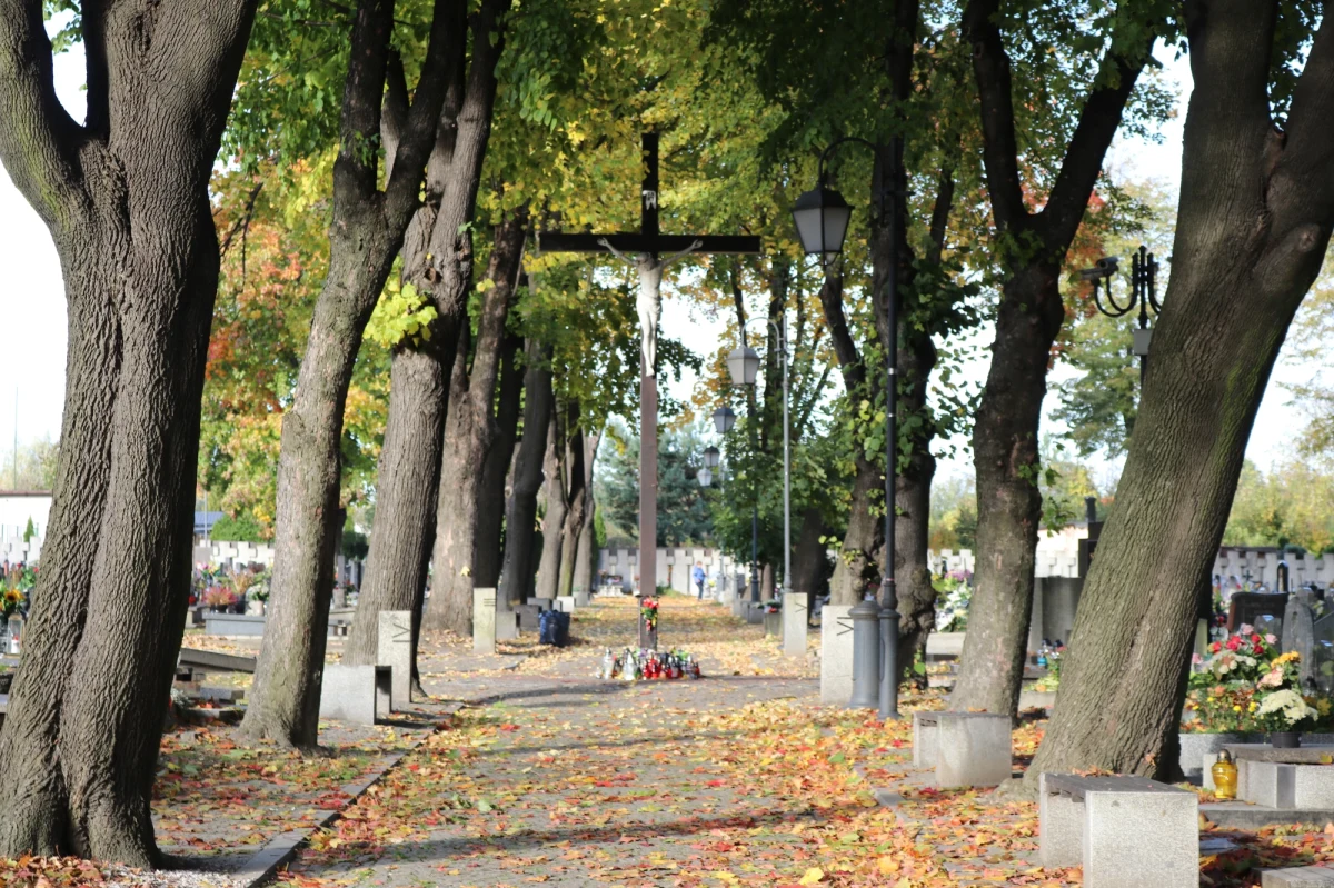 Osoby wybierające się 1 i 2 listopada na cmentarz lub do kościoła położonego w obszarze objętym stanem wyjątkowym nie będą musiały mieć pisemnego zezwolenia na wjazd do strefy - poinformowała straż graniczna.
