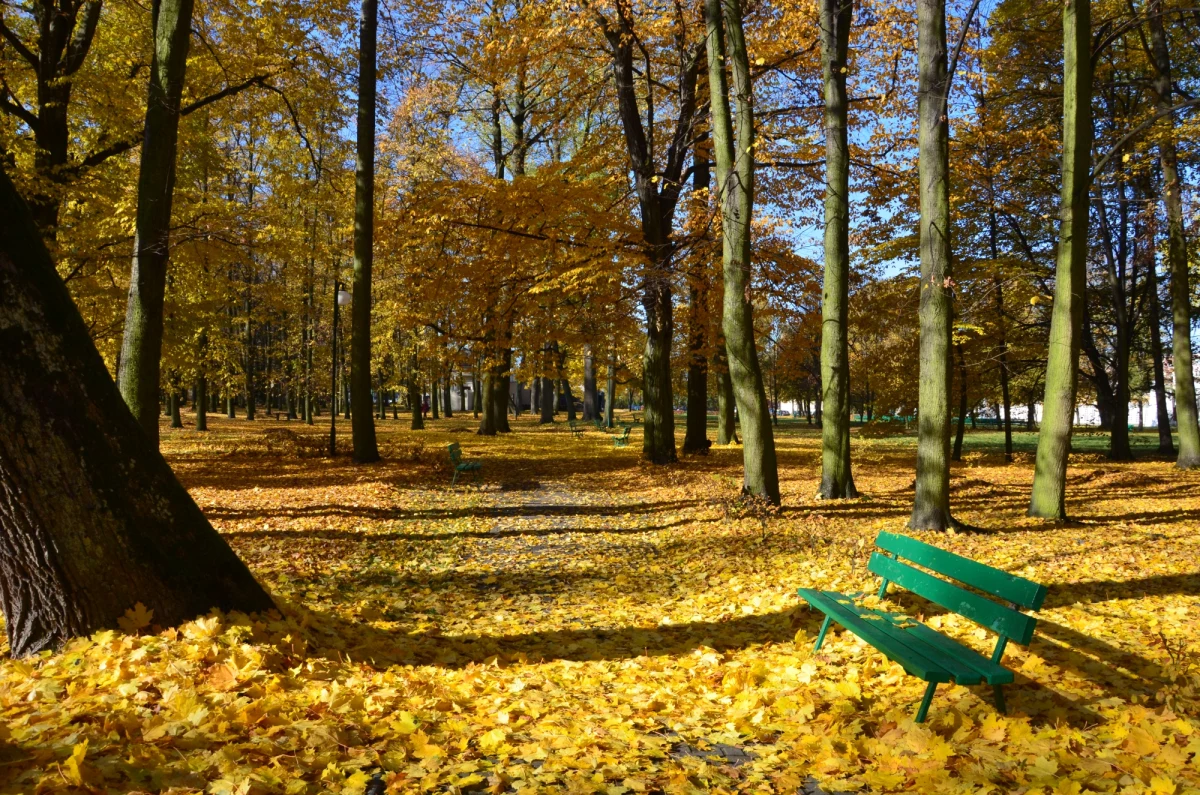 Niedziela pod znakiem polskiej złotej jesieni. Słonecznie będzie w niemal całym kraju. Umiarkowanie zachmurzenie jest spodziewane na zachodzie Polski. Będzie ciepło. Lokalnie termometry pokażą 18 stopni Celsjusza.