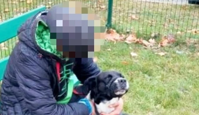 Ostrołęka: Poszczuł psem 49-latka. Mężczyzna trafił do szpitala