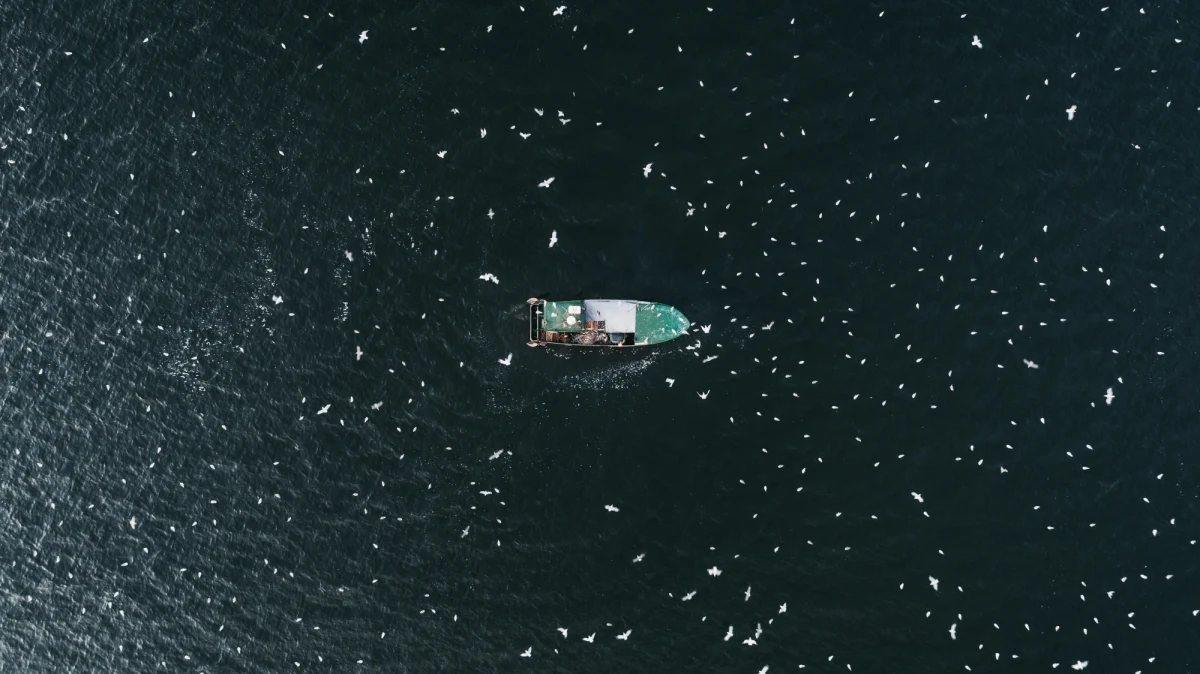 Brytyjska minister spraw zagranicznych Liz Truss wyznaczyła w poniedziałek rano 48-godzinne ultimatum na rozwiązanie sporu z Francją o prawa do połowów, zanim Wielka Brytania podejmie kroki prawne. Zarzuciła też Francji "nieuczciwe" zachowanie.