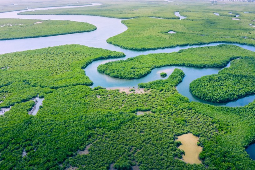 Amazonia - najważniejsze informacje