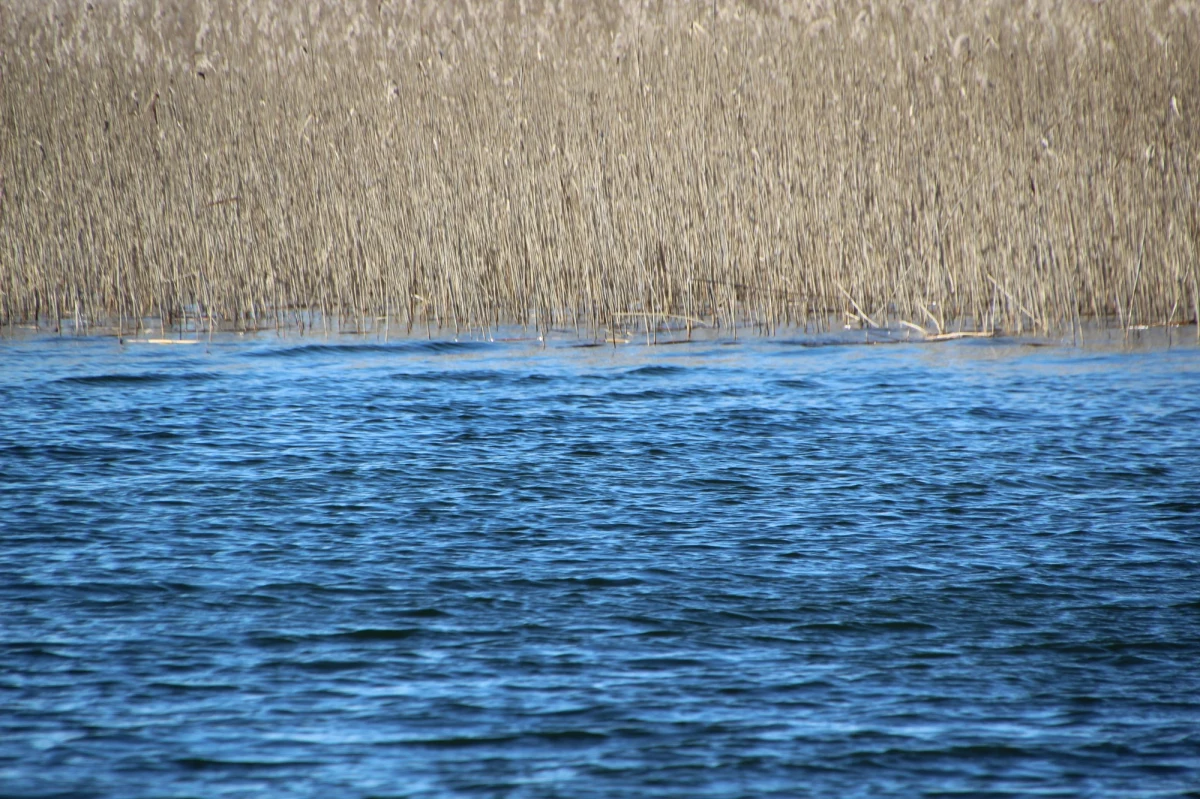Ciało wyłowione z Odry pod Raciborzem, a na nim ślady mogące świadczyć o zbrodni. W tej sprawie są już pierwsze zatrzymania. Sprawą zajmuje się prokuratura.