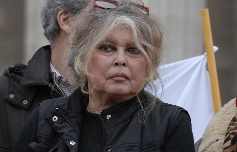 Francuska aktorka Brigitte Bardot, która pisząc w 2019 r. o złym traktowaniu zwierząt na Reunion, nazwała mieszkańców wyspy "tubylcami, którzy zachowali swoje dzikie geny", w czwartek została ukarana przez sąd w Saint-Denis grzywną w wysokości 20 tys. euro za publiczne zniewagi o charakterze rasistowskim.