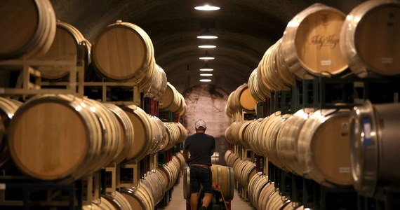 La producción mundial de vino disminuyó en 2021 debido al mal tiempo en Europa