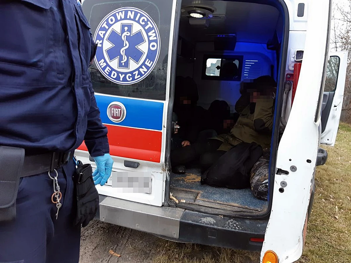 Śmigłowiec, radiowozy i kilkudziesięciu funkcjonariuszy – takie policyjne siły były zaangażowane w pościg za dwoma mieszkańcami Mazowsza, którzy w karetce przewozili migrantów z Iraku. Mężczyźni usłyszeli zarzuty pomocnictwa przy nielegalnym przekraczaniu granicy.