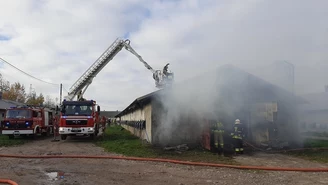 Spłonęło niemal 15 tys. kurczaków. Pożar w Wielkopolsce