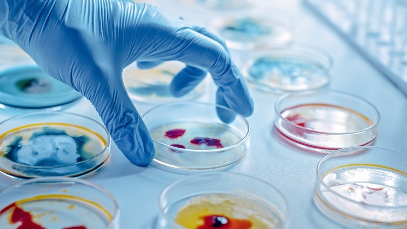 Wielokrotnie pisaliśmy już, jak dużym zagrożeniem są infekcje wywoływane przez bakterie oporne na antybiotyki. Na szczęście naukowcy pochwalili się nowym testem, który pomoże wykryć je w 90 minut. To jeszcze nie koniec dobrych wieści!