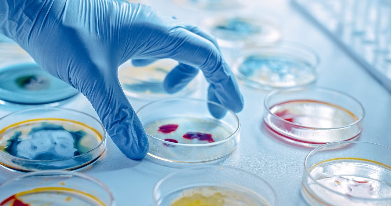 Wielokrotnie pisaliśmy już, jak dużym zagrożeniem są infekcje wywoływane przez bakterie oporne na antybiotyki. Na szczęście naukowcy pochwalili się nowym testem, który pomoże wykryć je w 90 minut. To jeszcze nie koniec dobrych wieści!