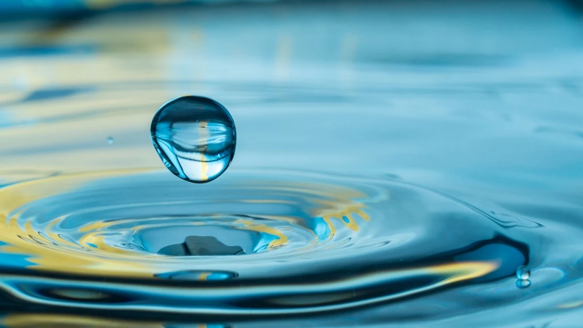 W miniony weekend odbył się w wersji online Aquathon - pierwszy w Polsce hackathon poświęcony zagospodarowaniu zasobów wodnych w naszym kraju. To wydarzenie bez precedensu - nigdy wcześniej nie zorganizowano hackathonu dedykowanego tylko tej kwestii. Pierwszą nagrodę i 10000 złotych otrzymał zespół Infable za projekt “Aqua City”. To platforma ułatwiająca współpracę w tworzeniu mądrej retencji wewnątrz miast, przechwytywaniu wody opadowej i zapobieganiu lokalnym podtopieniom.