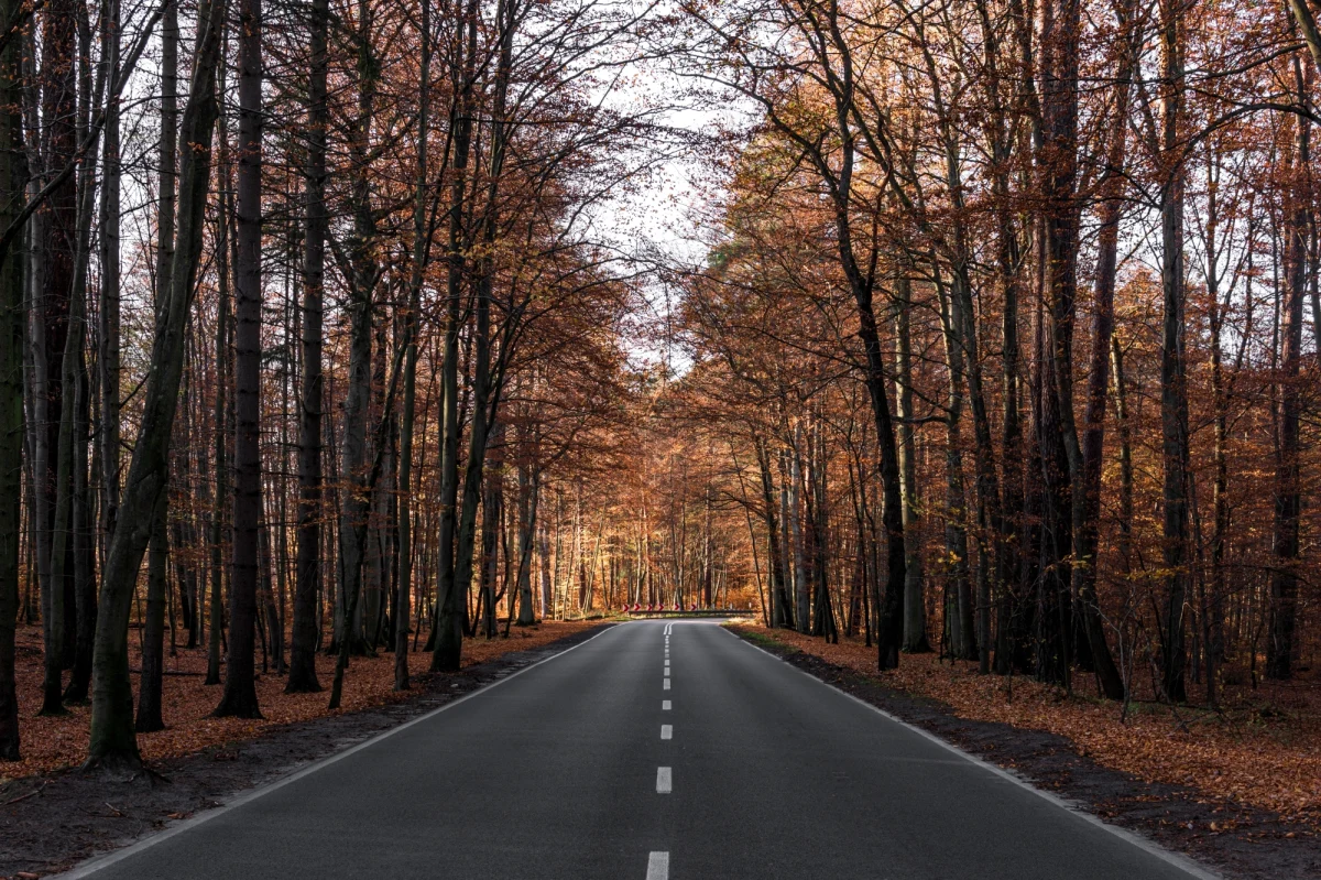 W długi listopadowy weekend ma być stosunkowo ciepło jak na drugą dekadę listopada. Najlepsza pogoda będzie w czwartkowe Święto Niepodległości - prognozuje IMGW. Będą jednak występować liczne mgły, a z każdym dniem powoli będzie się ochładzać - dodają synoptycy.