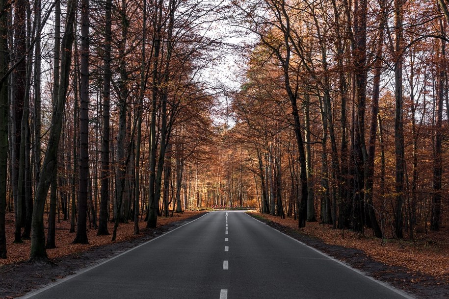 Prognoza pogody na długi weekend. Jeden dzień będzie bardzo słoneczny