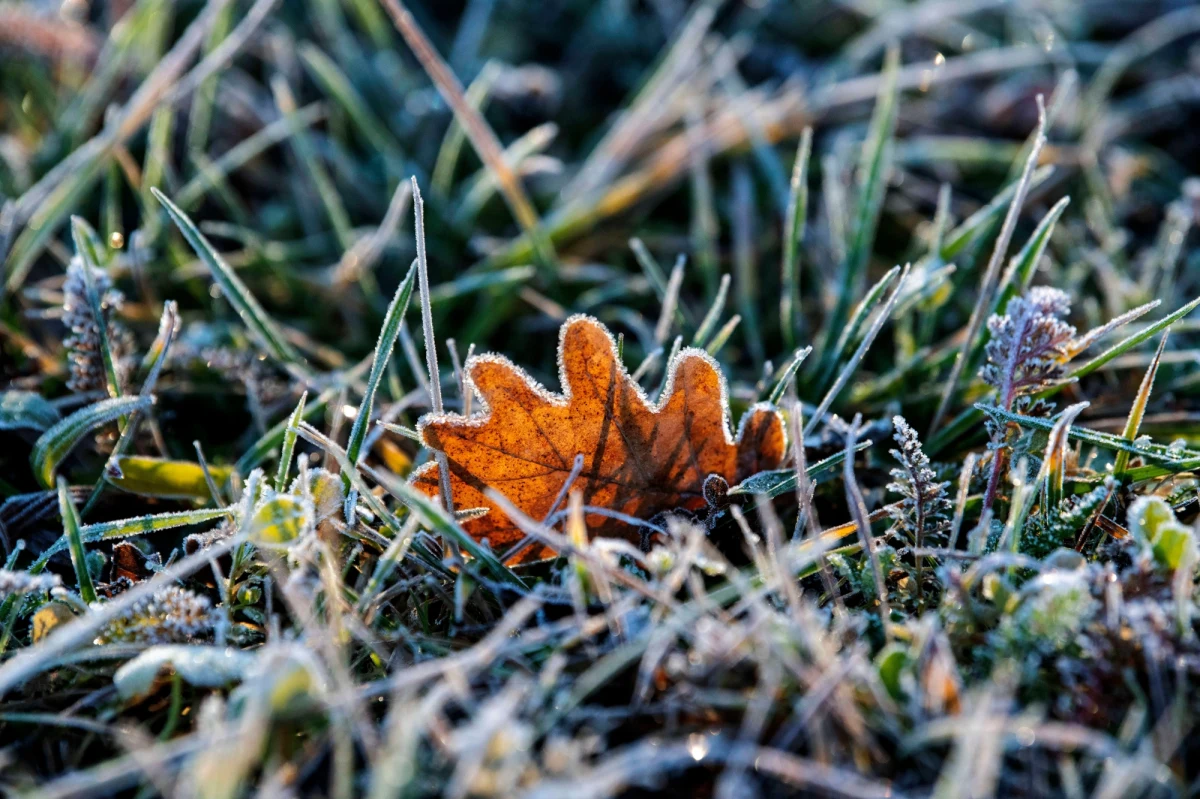 W długi listopadowy weekend powinno być ciepło. Temperatura raczej nie będzie kojarzyć się z drugą połową listopada - prognozują synoptycy. 
Najlepsza pogoda będzie w czwartkowe Święto Niepodległości. 