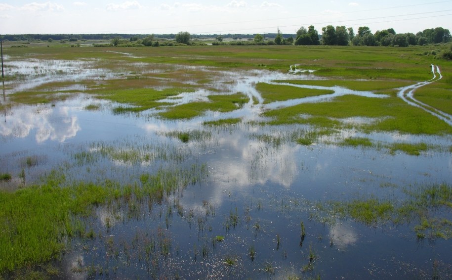 /Foto. Towarzystwo Przyjaciół Ziemi Zagórowskiej /