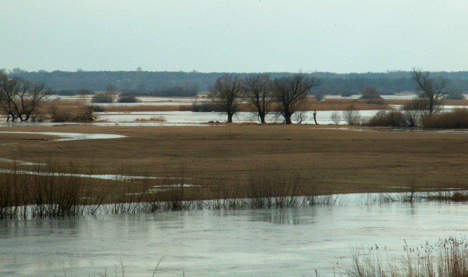 /Foto. Towarzystwo Przyjaciół Ziemi Zagórowskiej /
