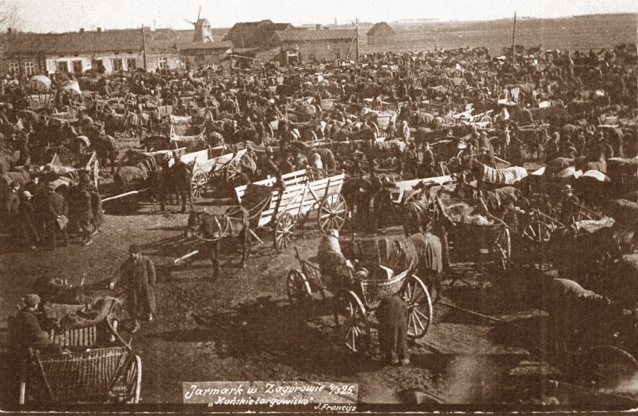 /Foto. Towarzystwo Przyjaciół Ziemi Zagórowskiej /