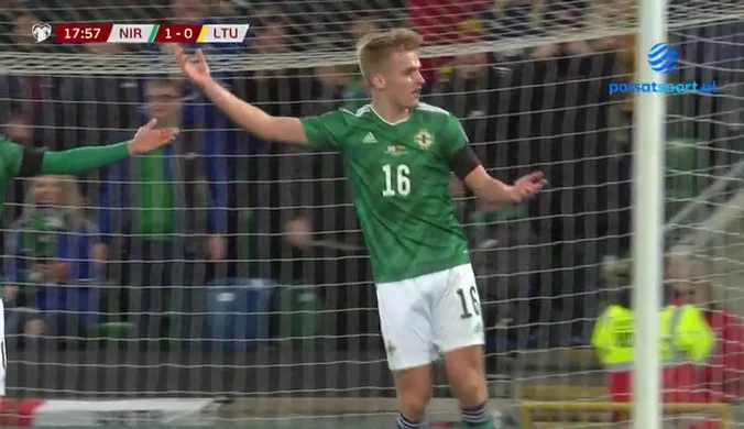 Irlandia Północna - Litwa 1-0 - SKRÓT. WIDEO (Polsat Sport)