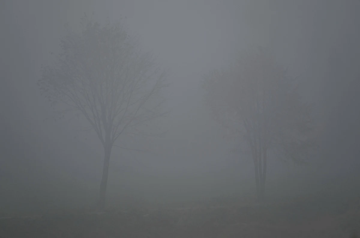 "W nocy wystąpią słabe opady deszczu, mżawka i mgły, które będą ograniczać widoczność nawet do 100 metrów" - poinformowała synoptyk IMGW Grażyna Dąbrowska. W poniedziałek możliwe są lokalne przejaśnienia.