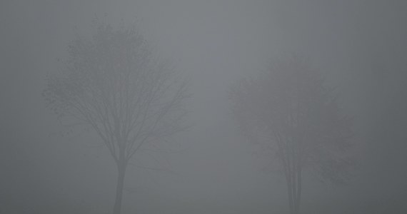 "W nocy wystąpią słabe opady deszczu, mżawka i mgły, które będą ograniczać widoczność nawet do 100 metrów" - poinformowała synoptyk IMGW Grażyna Dąbrowska. W poniedziałek możliwe są lokalne przejaśnienia.