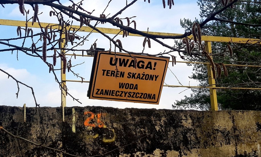 /Przemysław Błaszczyk /RMF MAXX