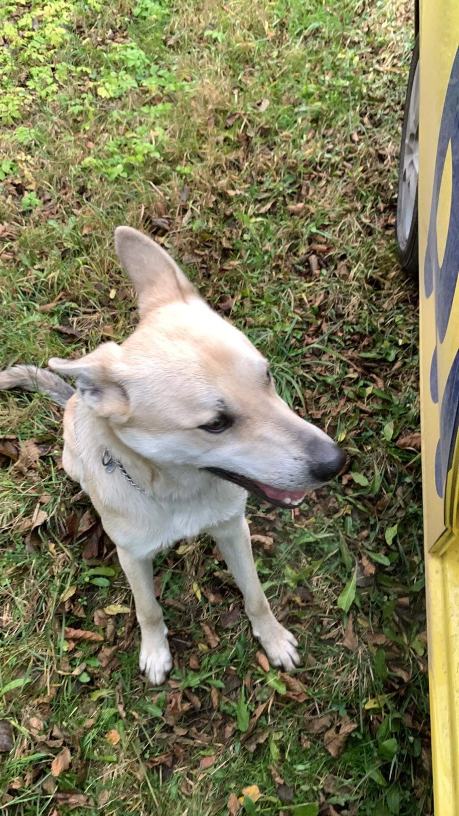 /Roch Kowalski /RMF FM