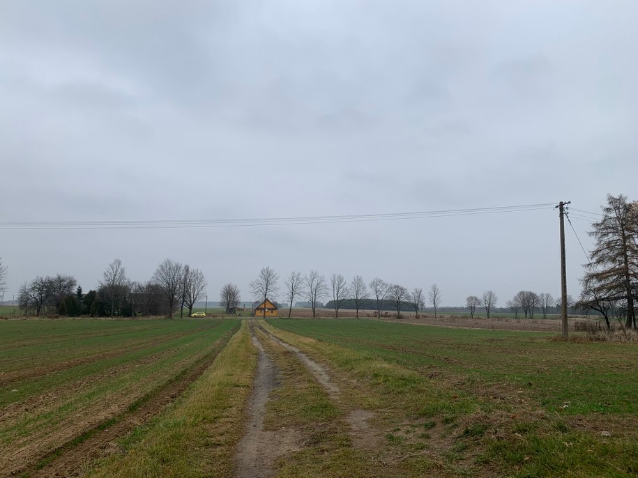 /Roch Kowalski /RMF FM