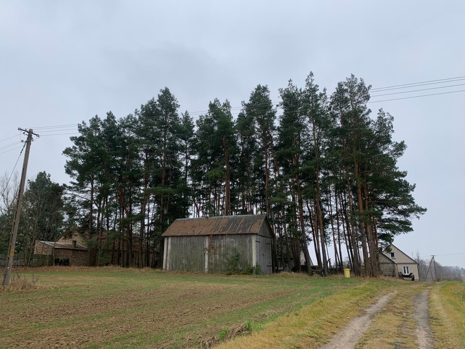 /Roch Kowalski /RMF FM