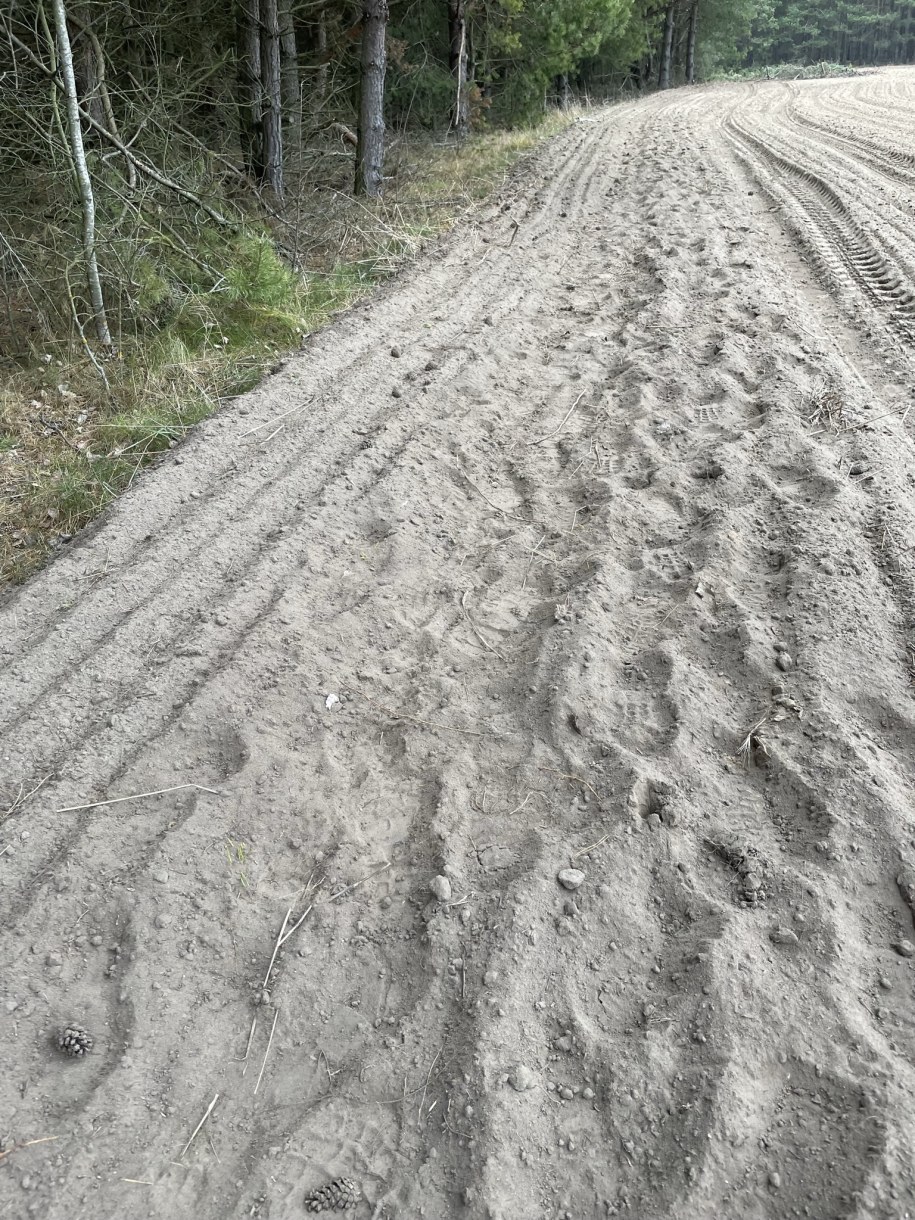 /Roch Kowalski /RMF FM