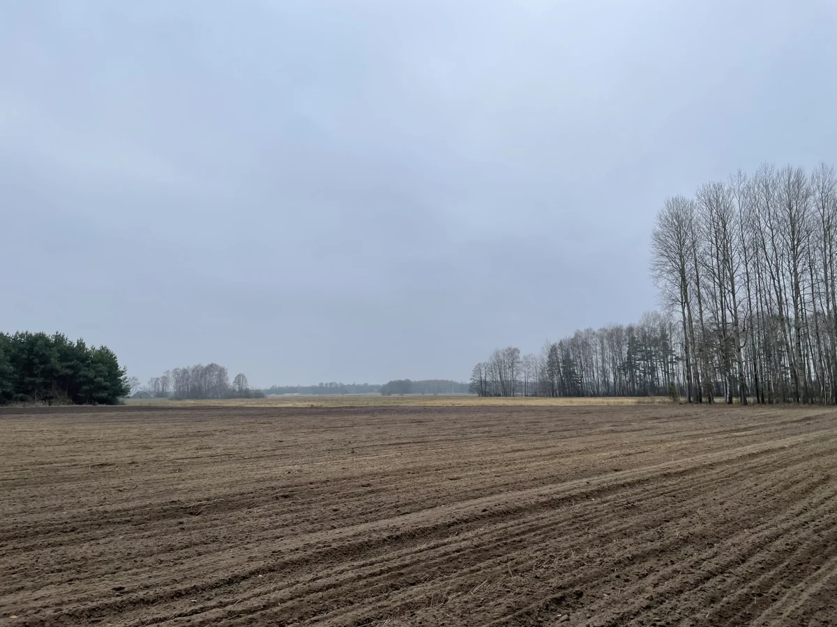 Wojny nie będzie - zapewnia 60-letni białostoczanin, którego spotykam w drodze na granicę, w Horodniance, malutkiej miejscowości leżącej wzdłuż trasy łączącej stolicę Podlasia z Białorusią i Litwą. Mężczyzna wraca ze strefy objętej stanem wyjątkowym. Jeździ tam regularnie. Spotykamy się, bo przed maski naszych samochodów na krajowej drodze wybiegł pies. Pomiędzy telefonami na policję i do schroniska rozmawiamy o tym, co dzieje się kilkanaście kilometrów dalej.