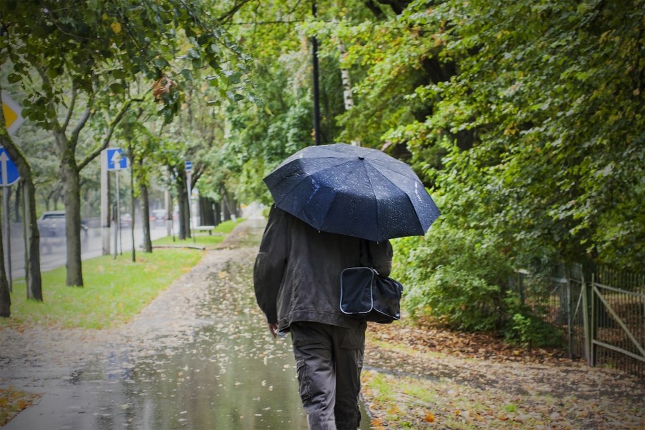 IMGW ostrzega przed silnym wiatrem. Piątek będzie deszczowy [SPRAWDŹ PROGNOZĘ POGODY]