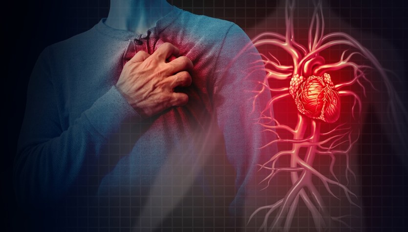 Descubren células que pueden regenerar el corazón tras un infarto