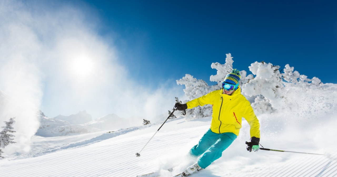 Najlepsza praca na świecie. Okazuje się, iż nie chodzi w niej o zarobki