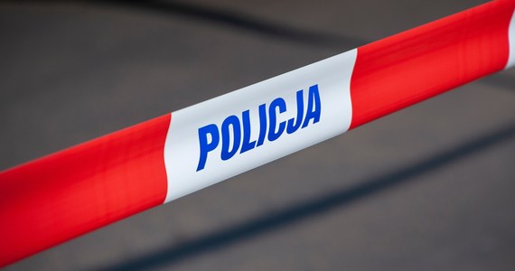 ​W Gdańsku w wiacie śmietnikowej znaleziono ciało mężczyzny. Ofiara miała ranę ciętą szyi - informuje prokuratura.