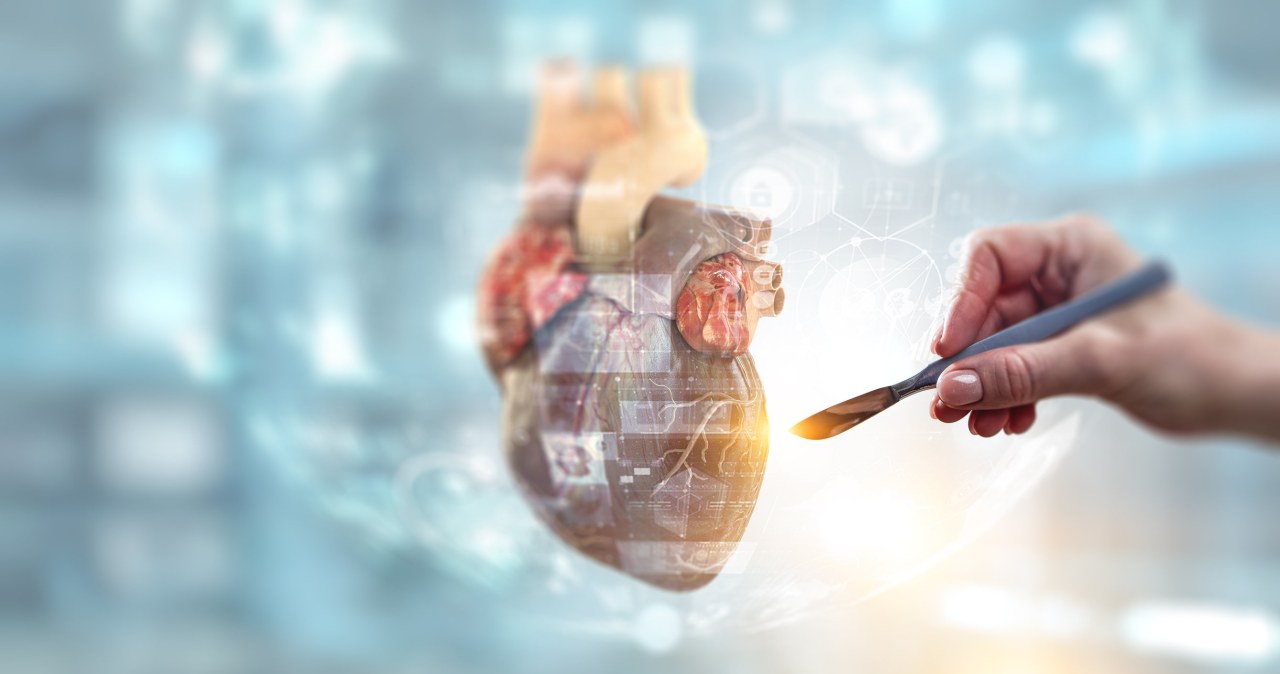 Cyfrowe bliźniaki w służbie medycyny. Pomogą ratować ludziom życie