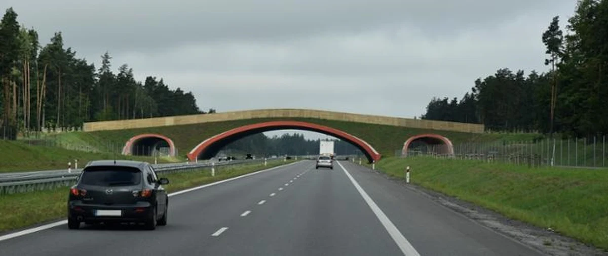 Wyniki generalnego pomiaru ruchu drogowego za rok 2020/2021 pokazują, że średnio po warmińsko-mazurskich trasach porusza się 7,5 tysiąca samochodów na dobę. W porównaniu z rokiem 2015 ruch wzrósł o 23 procent.