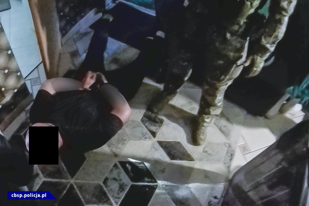 Trzech policjantów zostało zatrzymanych w sprawie zorganizowanej grupy przestępczej handlującej narkotykami i przemycającej je do Polski. W sumie w ręce funkcjonariuszy CBŚP na polecenie wielkopolskiego wydziału Prokuratury Krajowej wpadło 14 osób. 