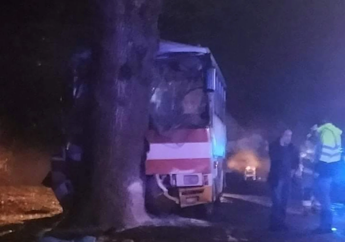 W Trzebiechowie autobus, w którym było sześć osób, w tym czworo dzieci, uderzył w drzewo. "Do szpitala przewieziono jedną osobę dorosłą i dwoje dzieci" - poinformował rzecznik prasowy komendanta wojewódzkiego Państwowej Straży Pożarnej w Szczecinie Tomasz Kubiak.