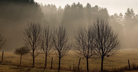 W czwartek, za wyjątkiem północnej części kraju, będzie pogodnie. W najcieplejszym momencie dnia termometry wskażą od 2 do 7 stopni Celsjusza - powiedziała PAP Małgorzata Tomczuk, synoptyk IMGW-PIB.