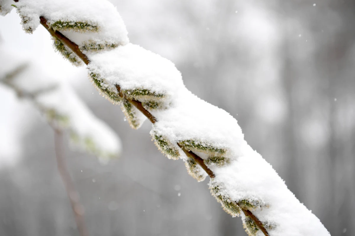 IMGW wydał ostrzeżenia przed intensywnymi opadami śniegu. Alerty dotyczą południowej i wschodniej części województwa opolskiego oraz południowej i zachodniej części województwa śląskiego
