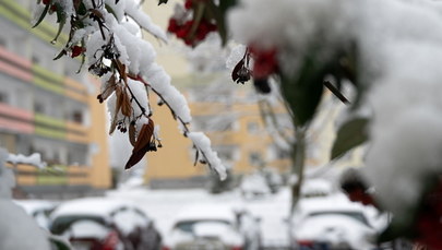 IMGW ostrzega przed intensywnymi opadami śniegu 