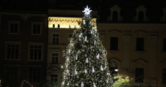 Na Rynku Głównym w Krakowie uroczyście rozświetlono choinkę. "Zaczęła się prawdziwa magia świąt" – mówili naszemu reporterowi mieszkańcy, którzy dziś pojawili się podczas pierwszego w tym roku zapalenia światełek na największym bożonarodzeniowym drzewku w stolicy Małopolski.