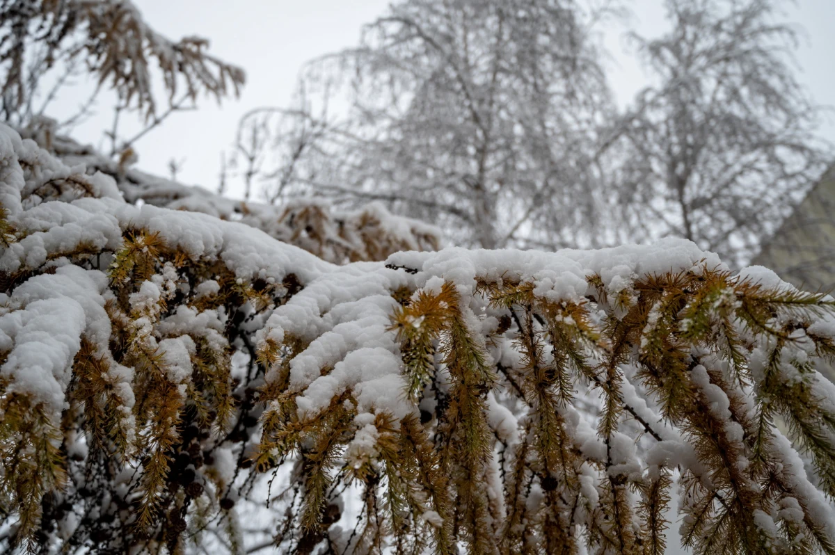 Instytut Meteorologii i Gospodarki Wodnej wydał ostrzeżenia przed intensywnymi opadami śniegu. Alerty obowiązują na terenie ośmiu województw: w pasie od południa, przez centrum, aż po północne krańce Polski. Według prognoz w tych regionach może spaść od 10 do 15 cm śniegu.