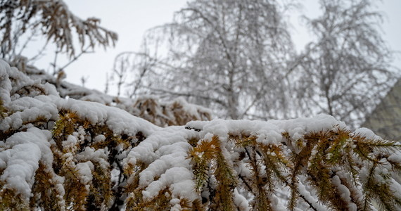 Instytut Meteorologii i Gospodarki Wodnej wydał ostrzeżenia przed intensywnymi opadami śniegu. Alerty obowiązują na terenie ośmiu województw: w pasie od południa, przez centrum, aż po północne krańce Polski. Według prognoz w tych regionach może spaść od 10 do 15 cm śniegu.