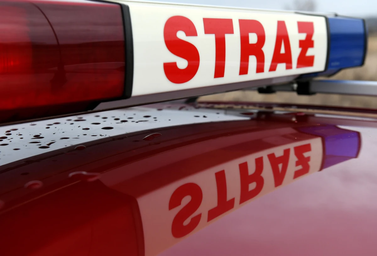 Jedna osoba została ranna w wybuchu w firmie produkującej pellet w Wilczy w powiecie gliwickim na Śląsku. Informację dostaliśmy na Gorącą Linię RMF FM. 