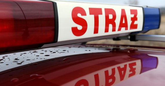 Jedna osoba została ranna w wybuchu w firmie produkującej pellet w Wilczy w powiecie gliwickim na Śląsku. Informację dostaliśmy na Gorącą Linię RMF FM. 